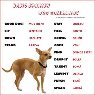 How Do You Say Pet in Spanish? And Why Do We Even Need Words for Pets?