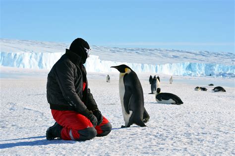 How Much to Travel to Antarctica: And Why Penguins Might Be Better Tour Guides Than Humans