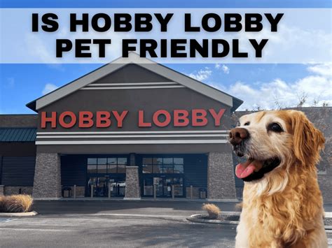 Is Hobby Lobby Pet Friendly? Exploring the Intersection of Craft Stores and Animal Companions