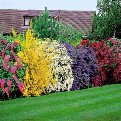 Le Jardin Ensoleillé Une Ode Colorée à la Nature Vibrant et à l'Harmonie Zen