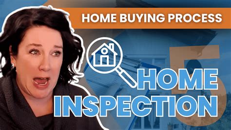 Who Pays for Termite Inspection When Buying a House: A Dive into the Unpredictable World of Real Estate Negotiations