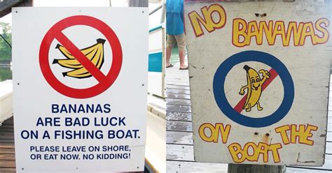 Why Are Bananas Bad Luck on a Fishing Boat? And Why Do Sailors Believe in the Curse of the Yellow Fruit?